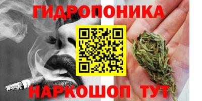 индика Мариинск