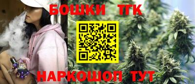 индика Мариинск