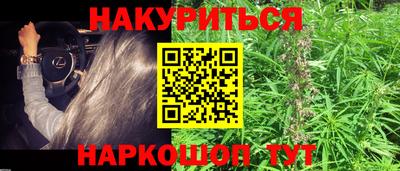 индика Мариинск