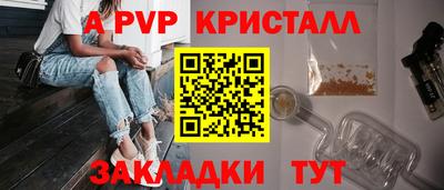 крисы Малгобек